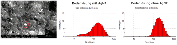 Nachweis von Silbernanopartikeln