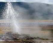 Geysir at Lake Bogoria, Kenya